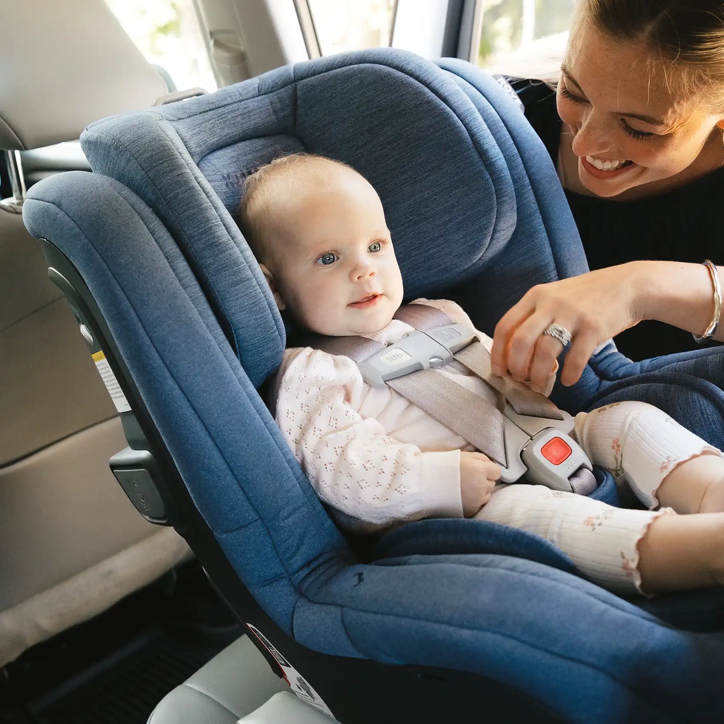 UPPABaby Rove - Cody