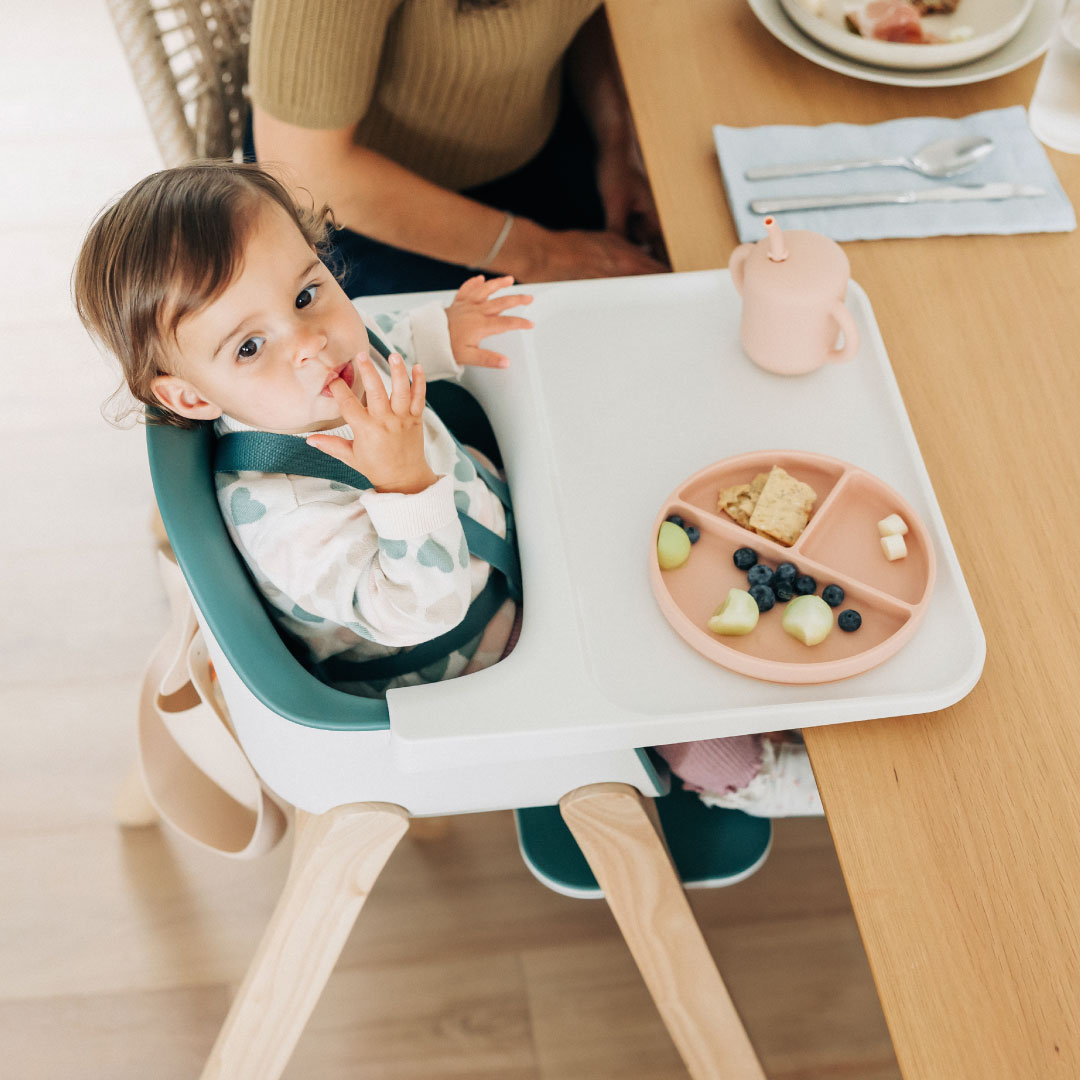 UPPAbaby Ciro - Emrick