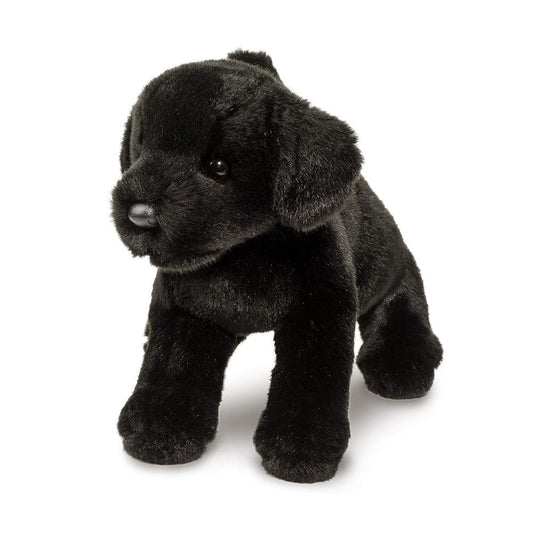 Brewster Black Lab
