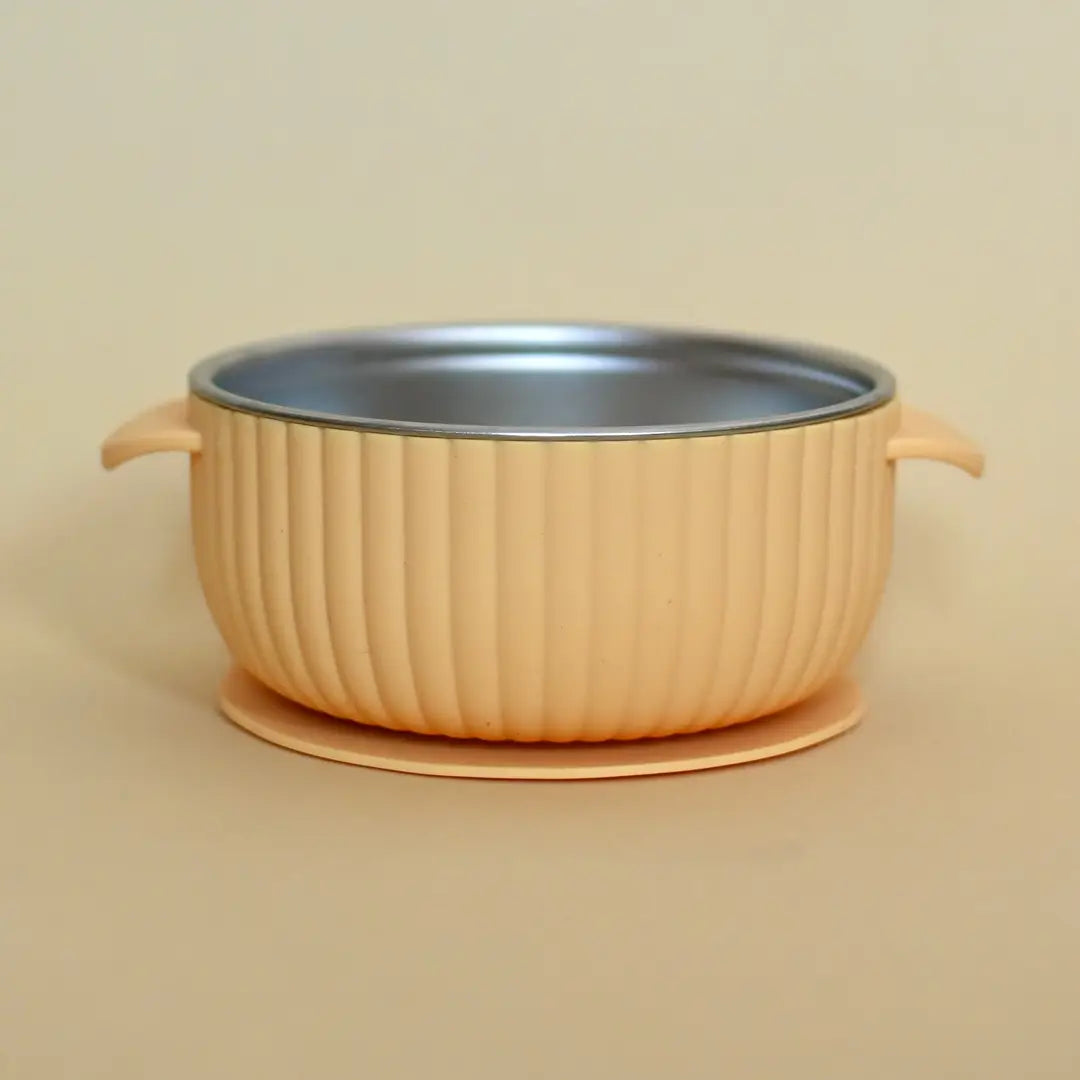 Stainless & silicone bowl