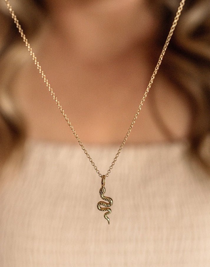 Snake Charm Necklace