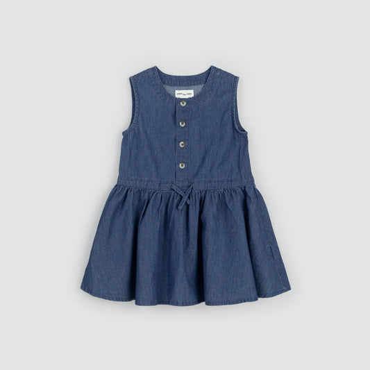 Chambray Sleeveless Front-Button Dress (6 Years)