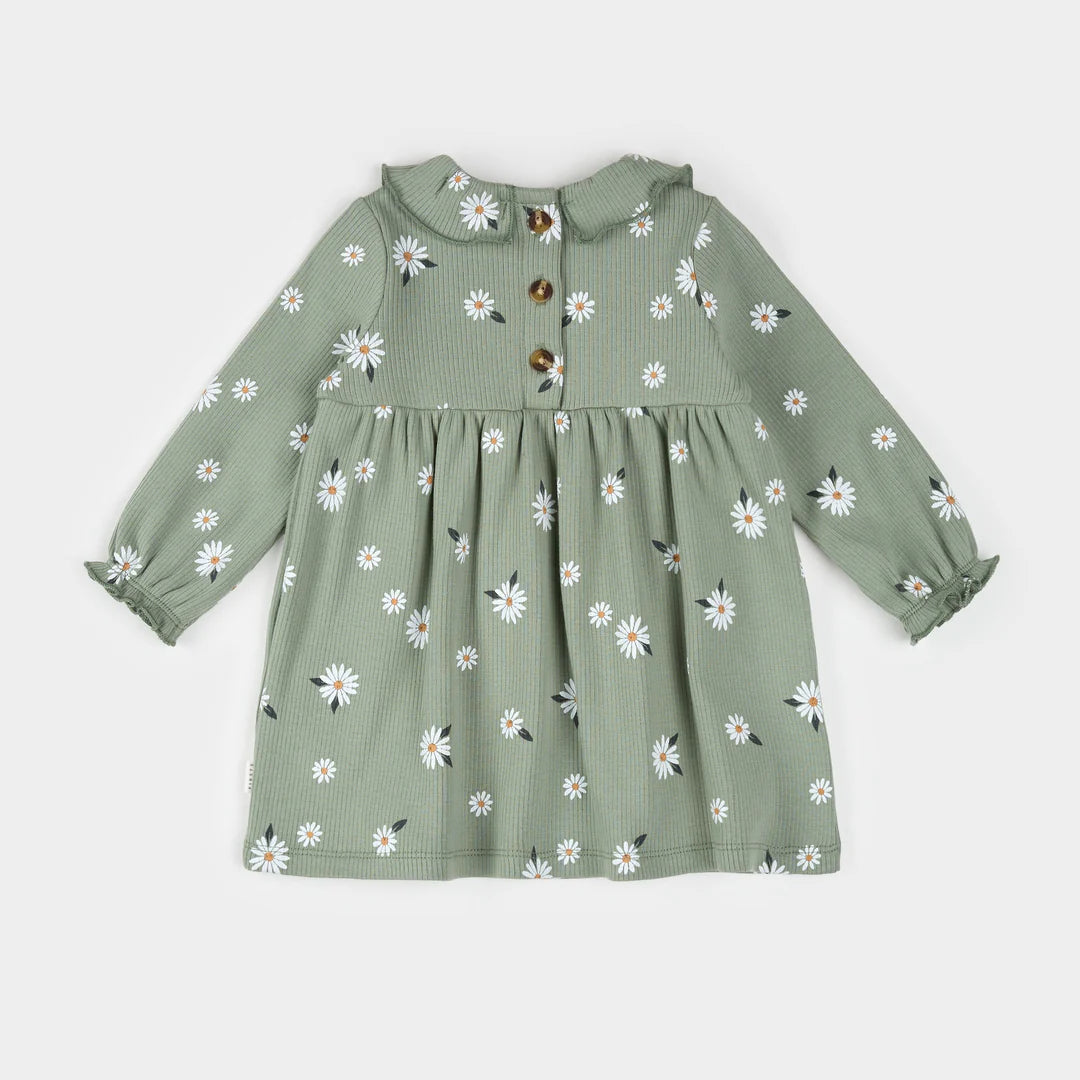 Daisy Print on Sage Green Ribbed Dress Set