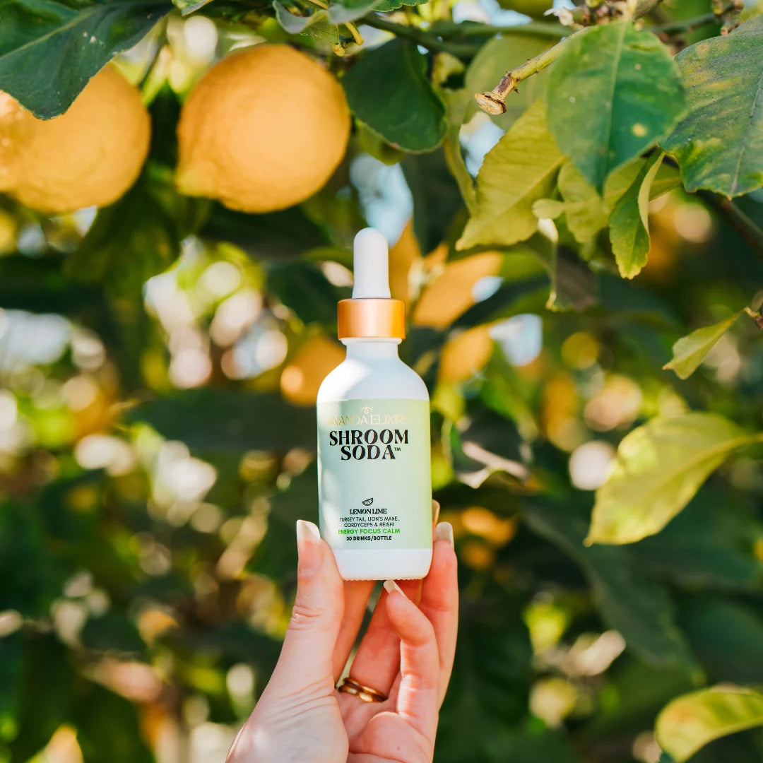 Lemon Lime Shroom Soda