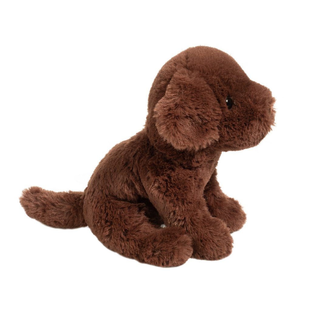 Harlie Soft Chocolate Lab