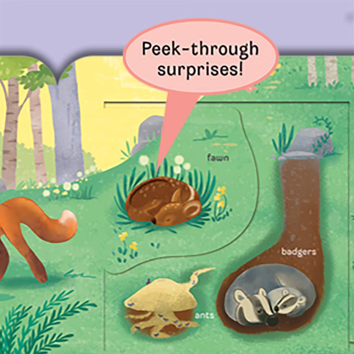 Peek-a-flap Who