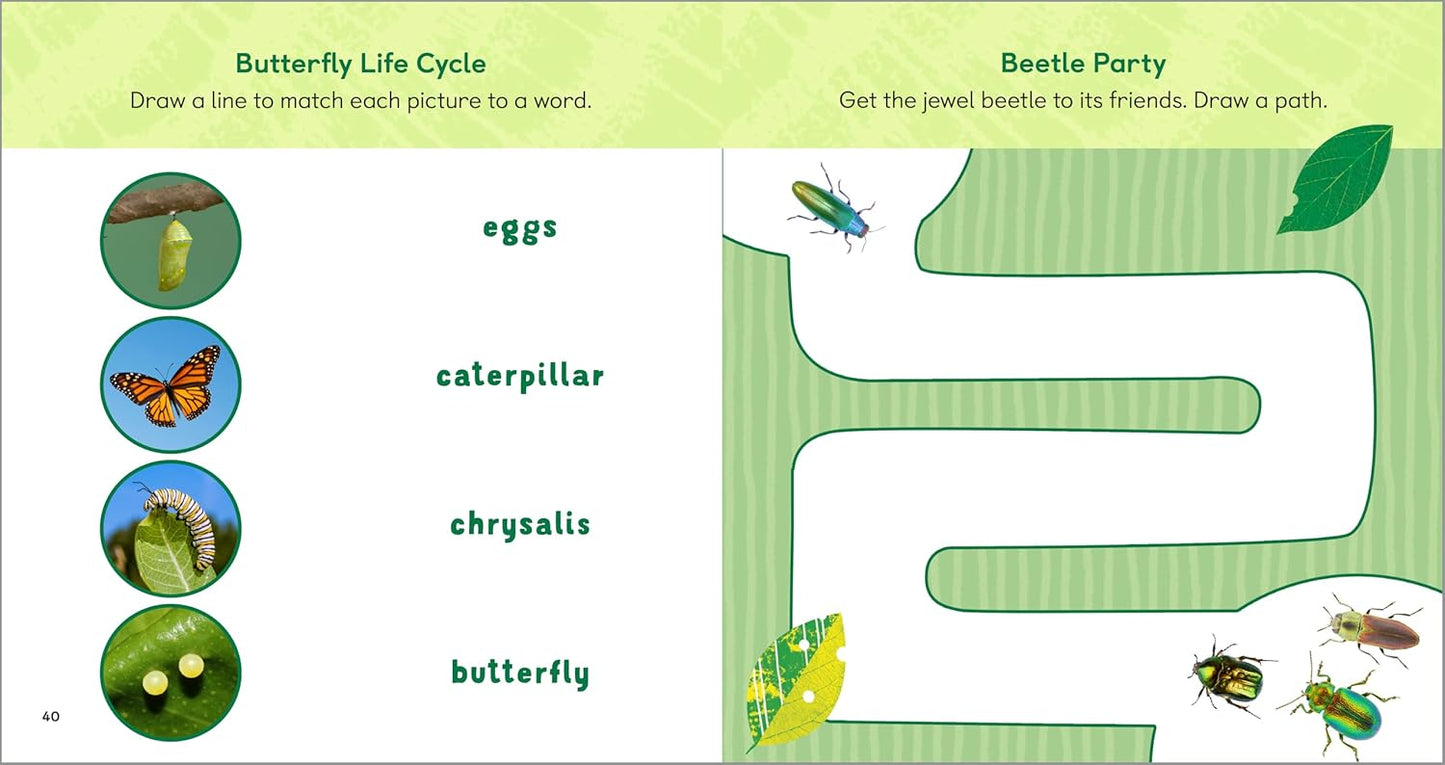 The Backyard Bug Book for Kids