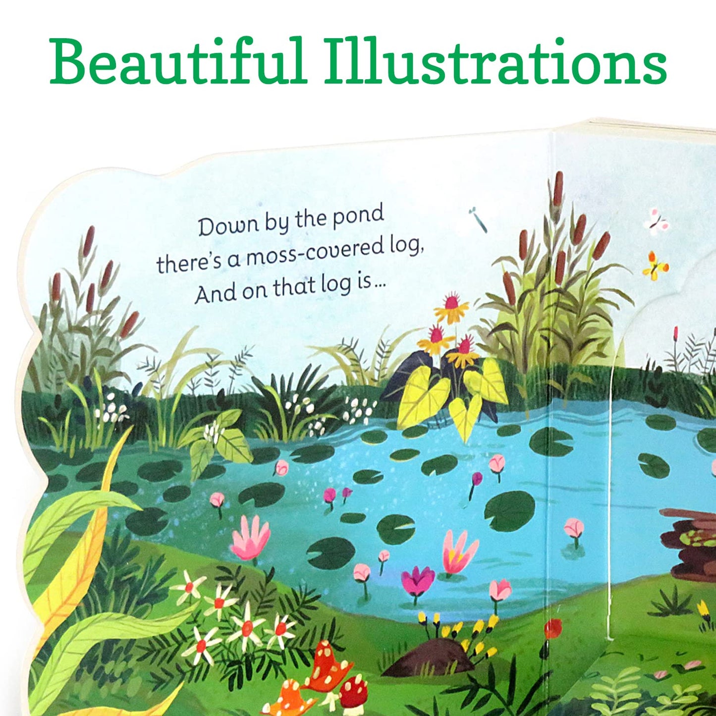 Little Green Frog - Flap Book-