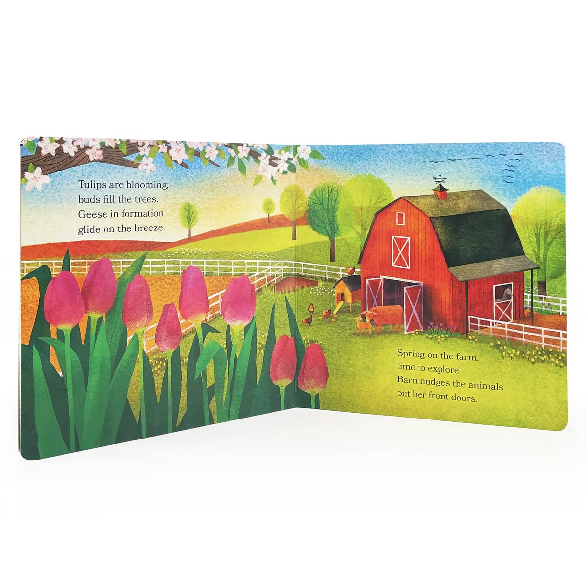 Barn in Spring: Out to Explore on the Farm