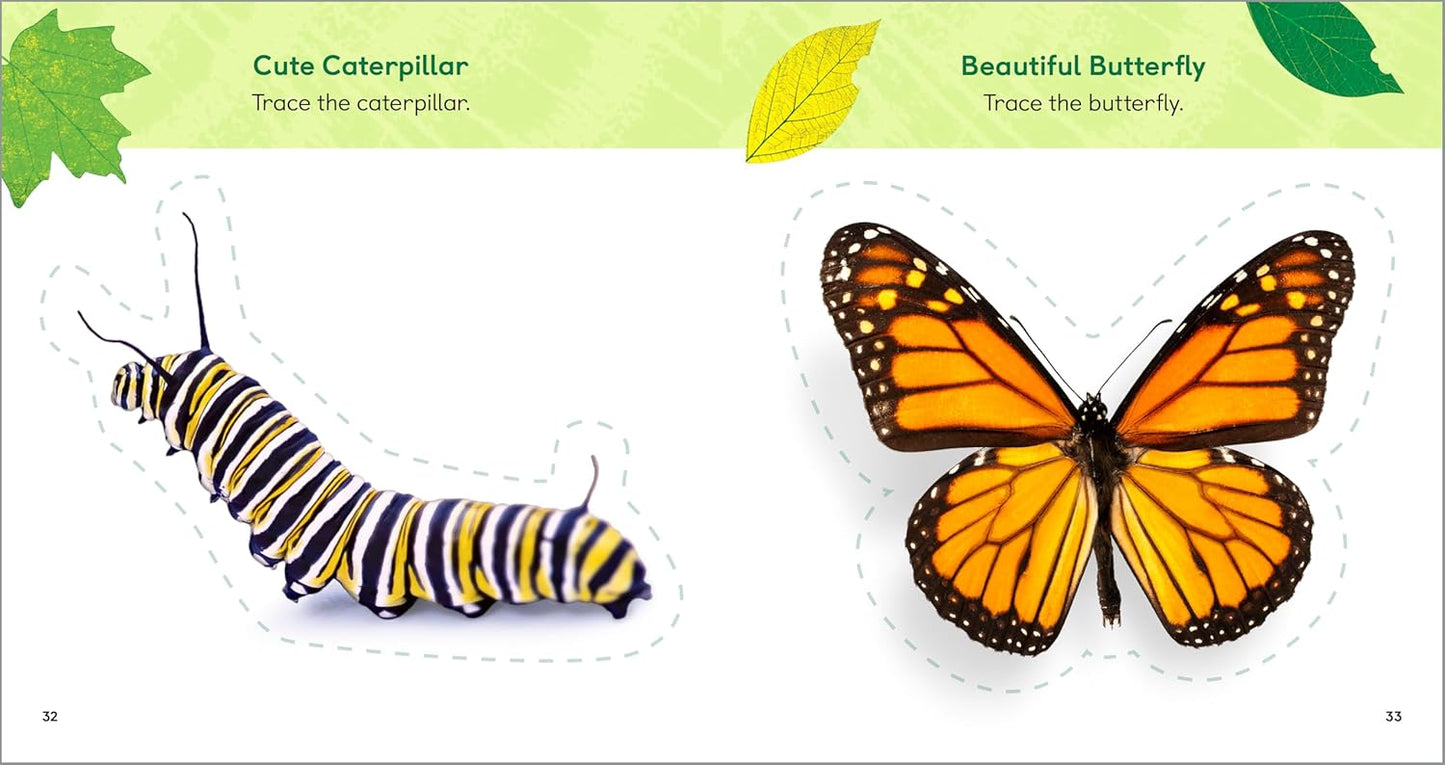 The Backyard Bug Book for Kids