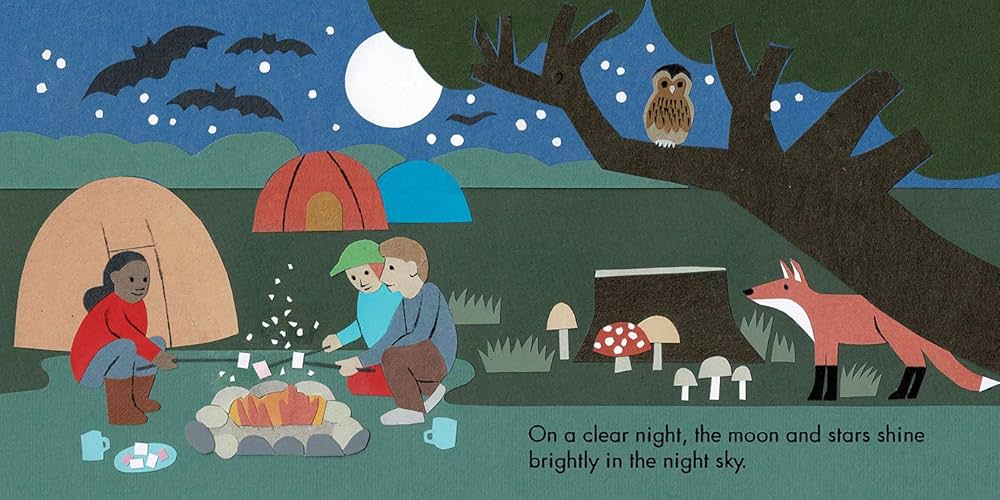 Little Observers: Go Camping