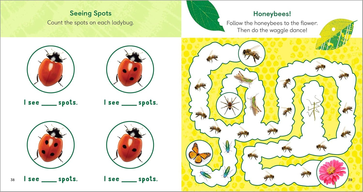 The Backyard Bug Book for Kids