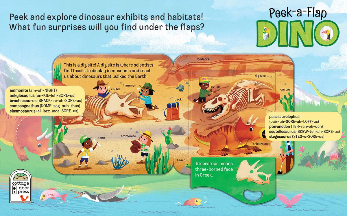 Peek-a-flap Dino