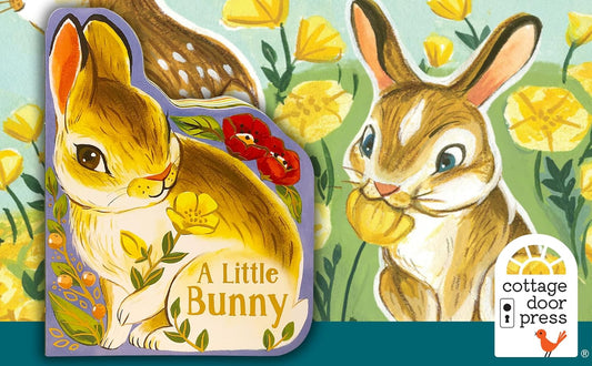 A Little Bunny