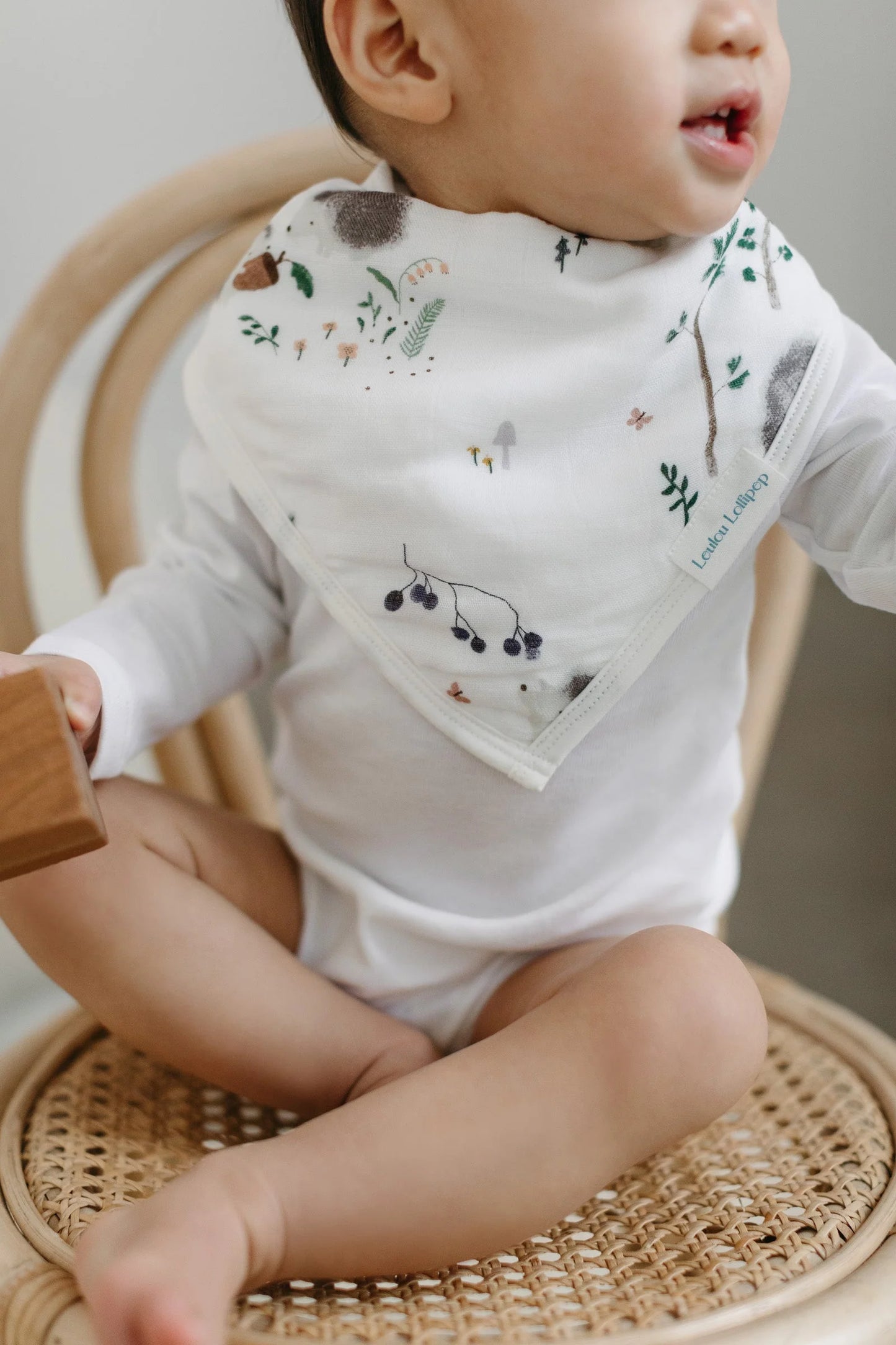Bandana Bib Set - 2 Pack - Hedgehogs