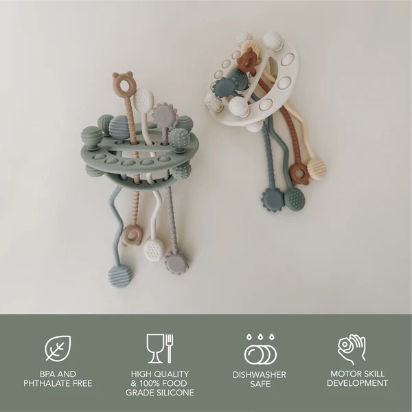 Space Pull Toy