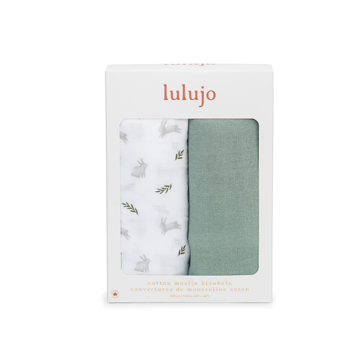 2 Pack Swaddles - Bunnies & Fern