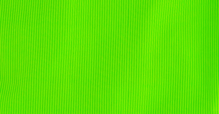 Green Gecko Ribbed Ruffle Rashguard Suit