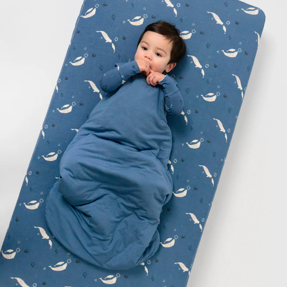 1.0 TOG Sleep Sack - Ocean Blue
