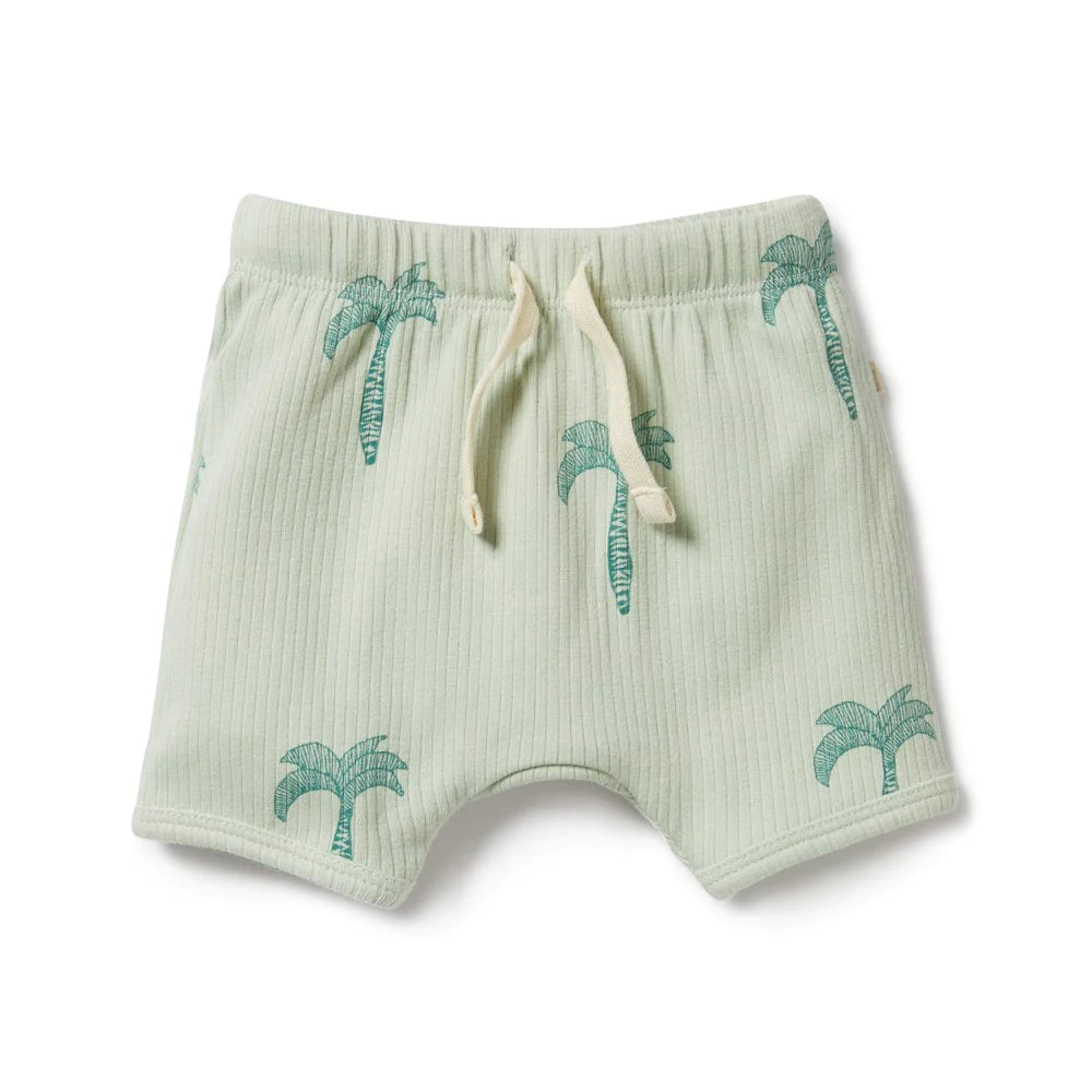 Palm Tree Organic Rib Shorts
