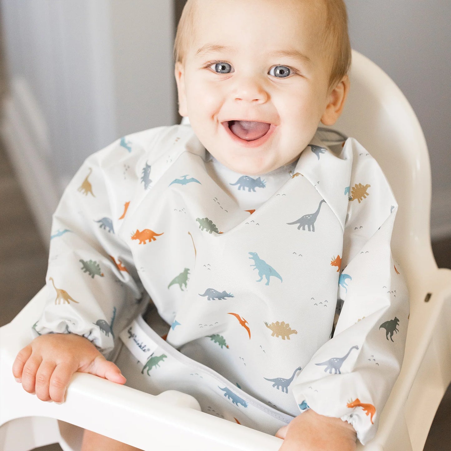 Full Sleeve Dino (6-24 Months)