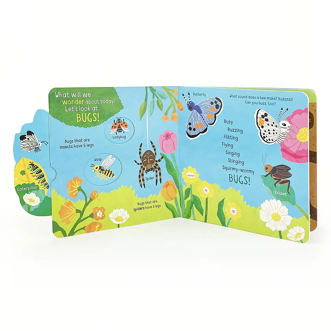 Little Wonders Bugs