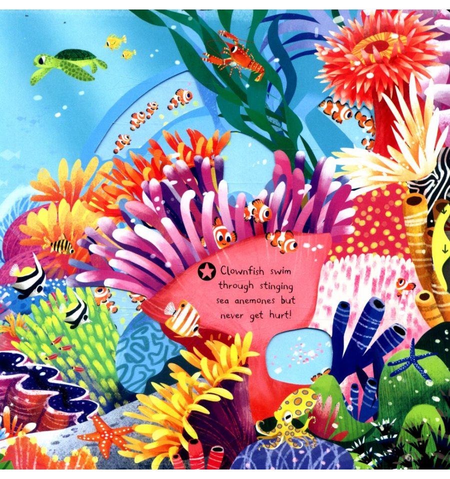 First Explorers: Sea Creatures