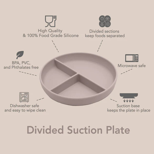 Divided Suction Plate - Light Storm
