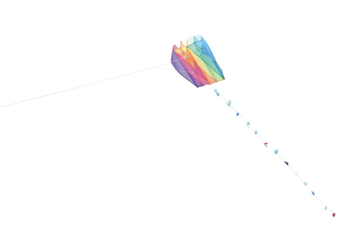 Kites