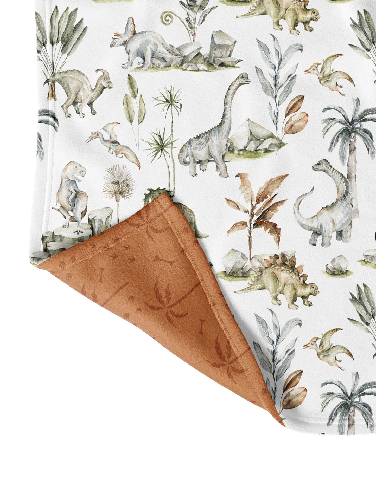 Dino Blanket