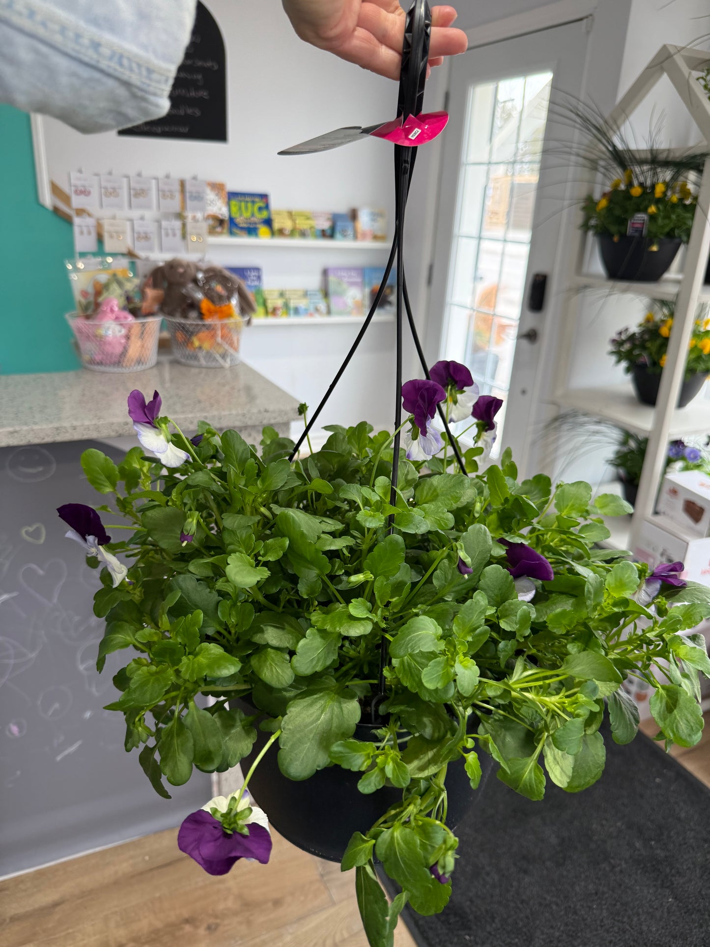 Hanging Basket