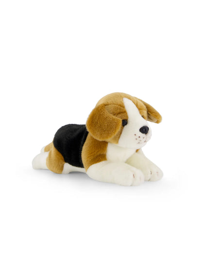 Brooklyn the Beagle