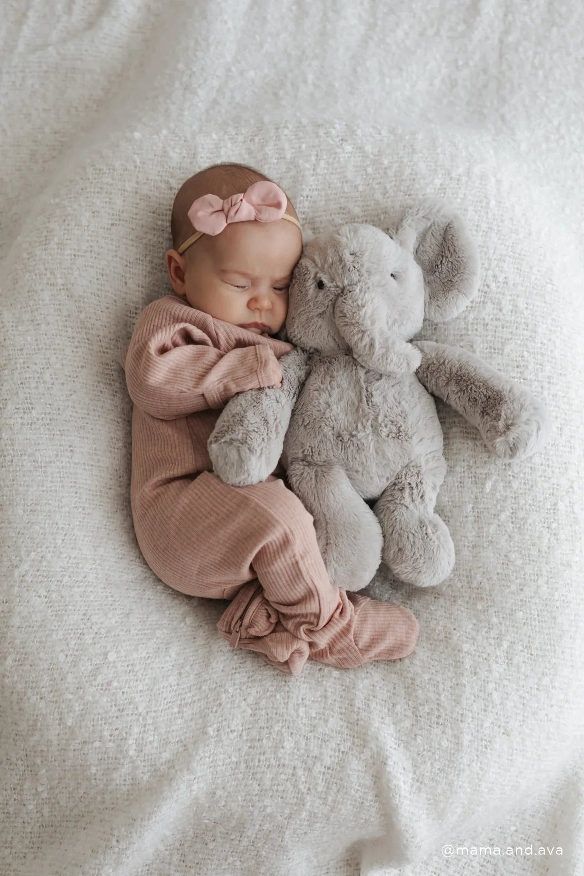 Olive the Grey Elephant