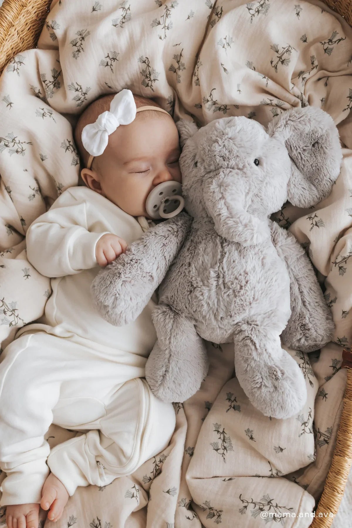 Olive the Grey Elephant