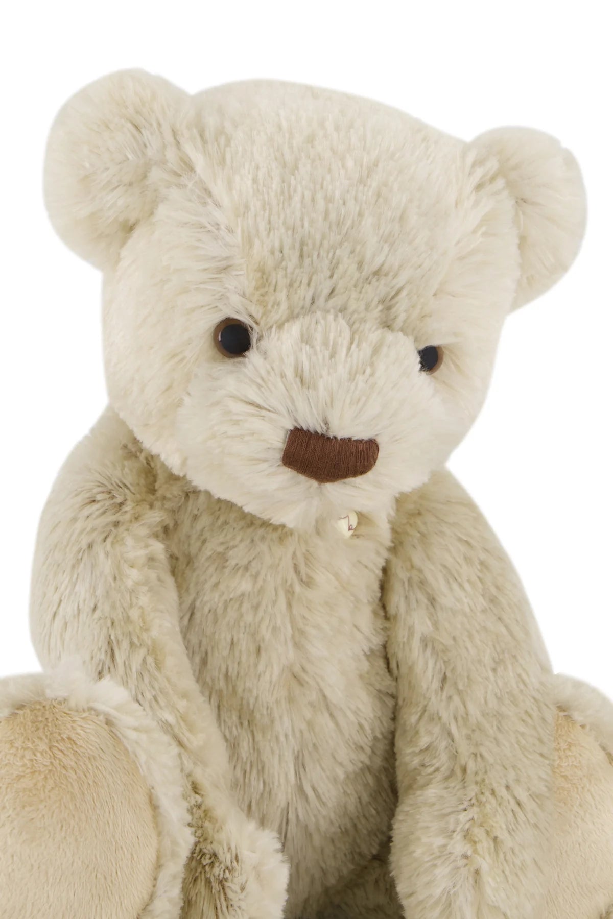 Theo the bear