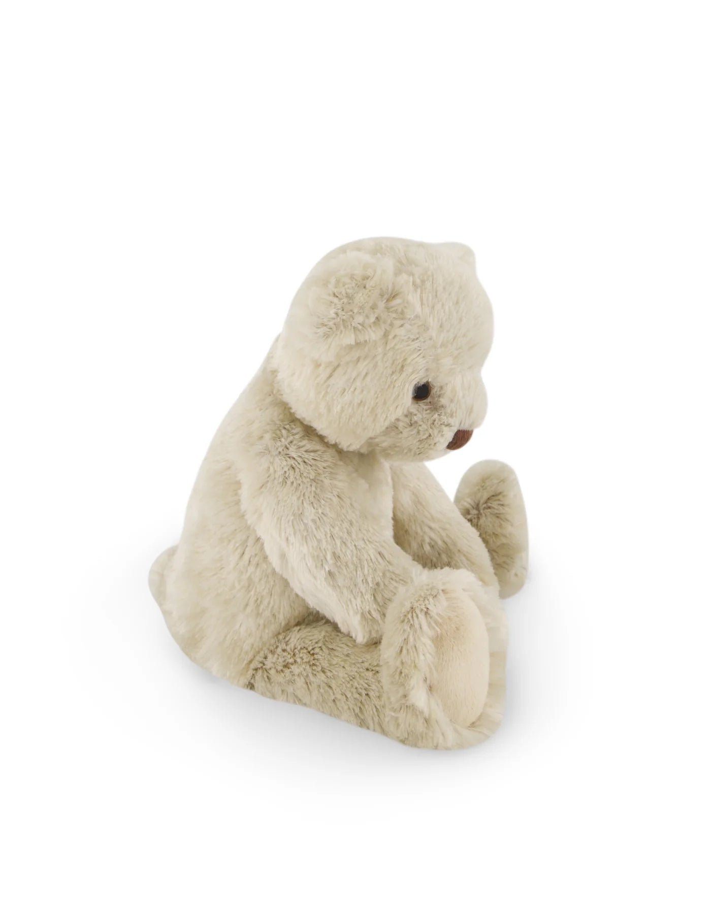 Theo the bear