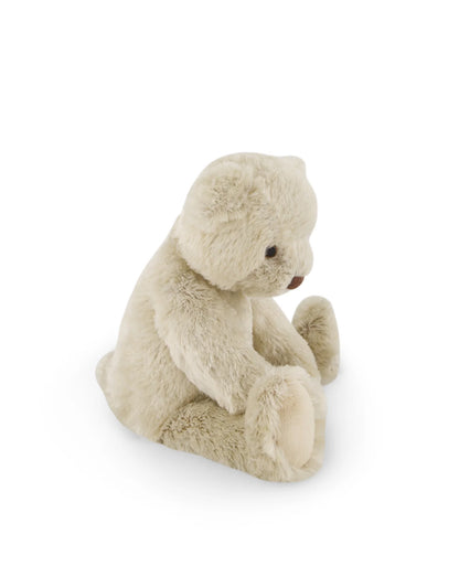 Theo the bear