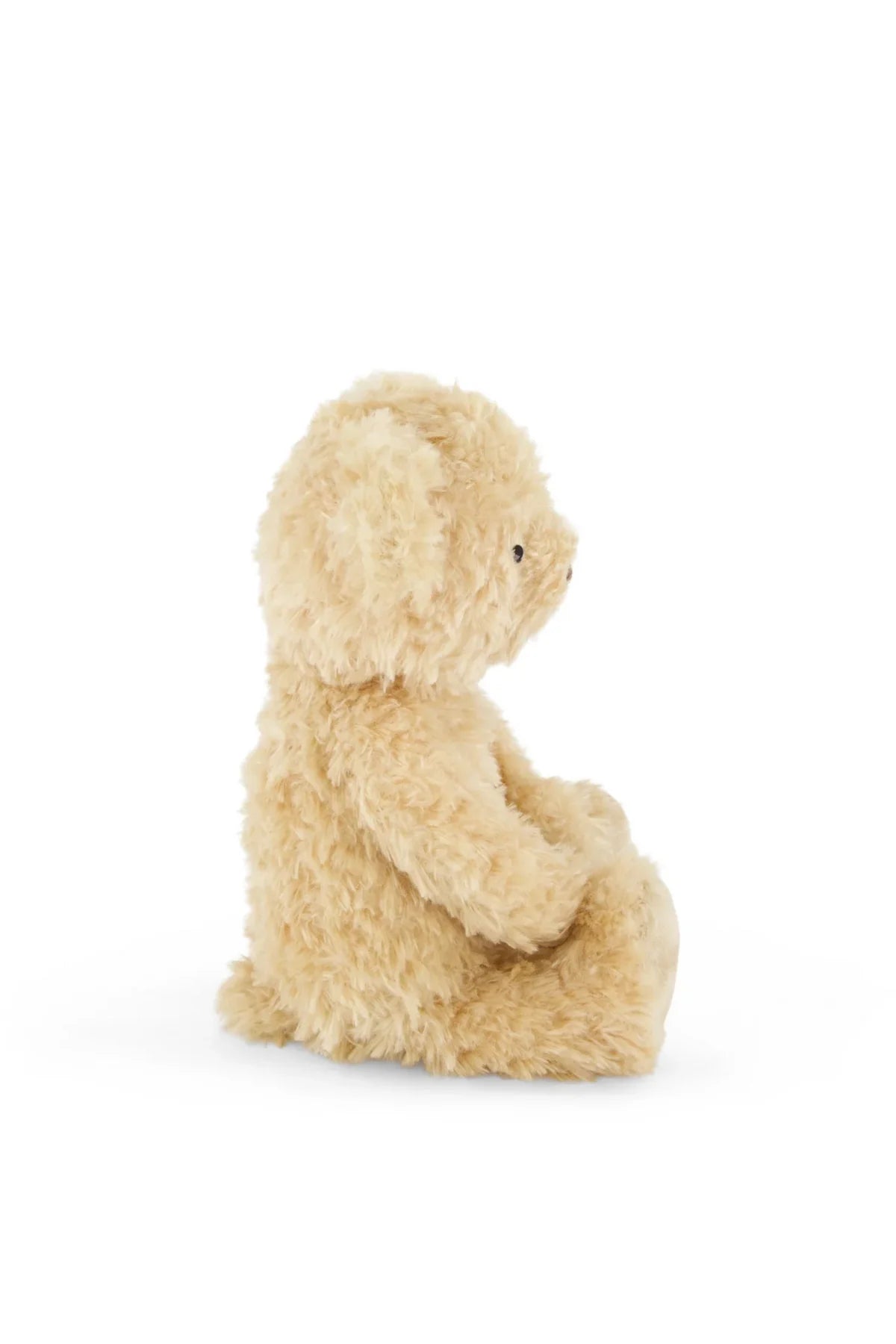 Arthur the Bear