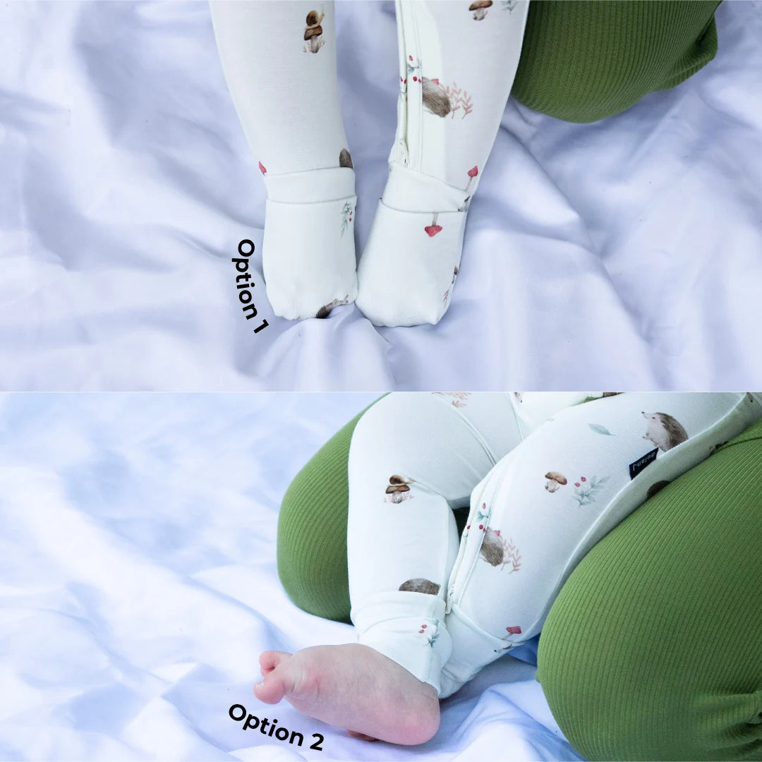 Hedgehog - Sleeper