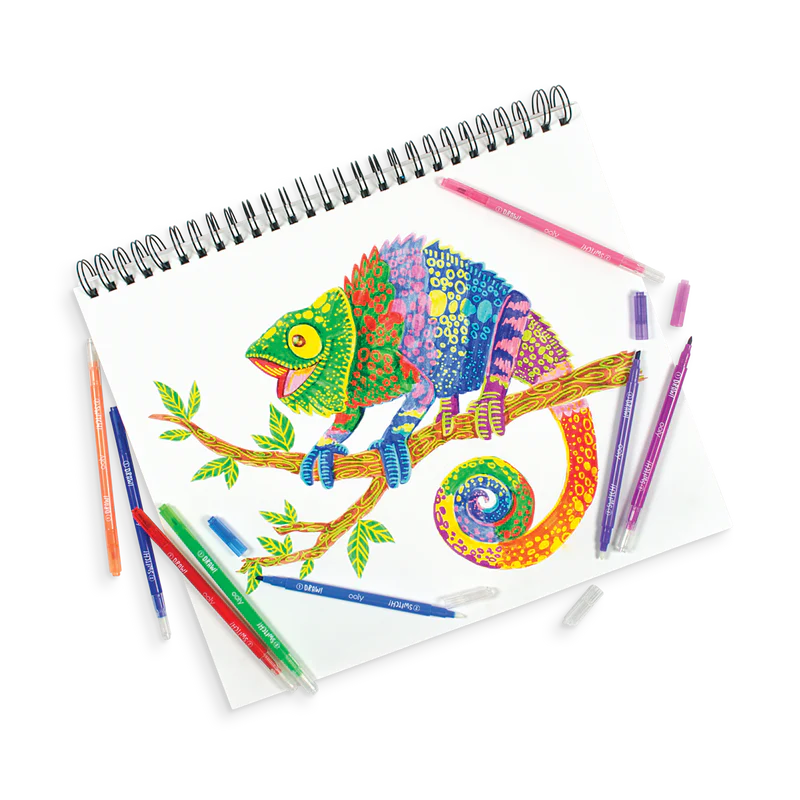 Switch-eroo Color Changing Markers ( 12 Set)
