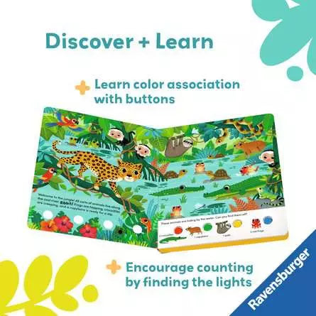 Search and Shine: In the Jungle