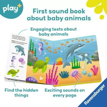 Shh … Who's there? Baby Animals