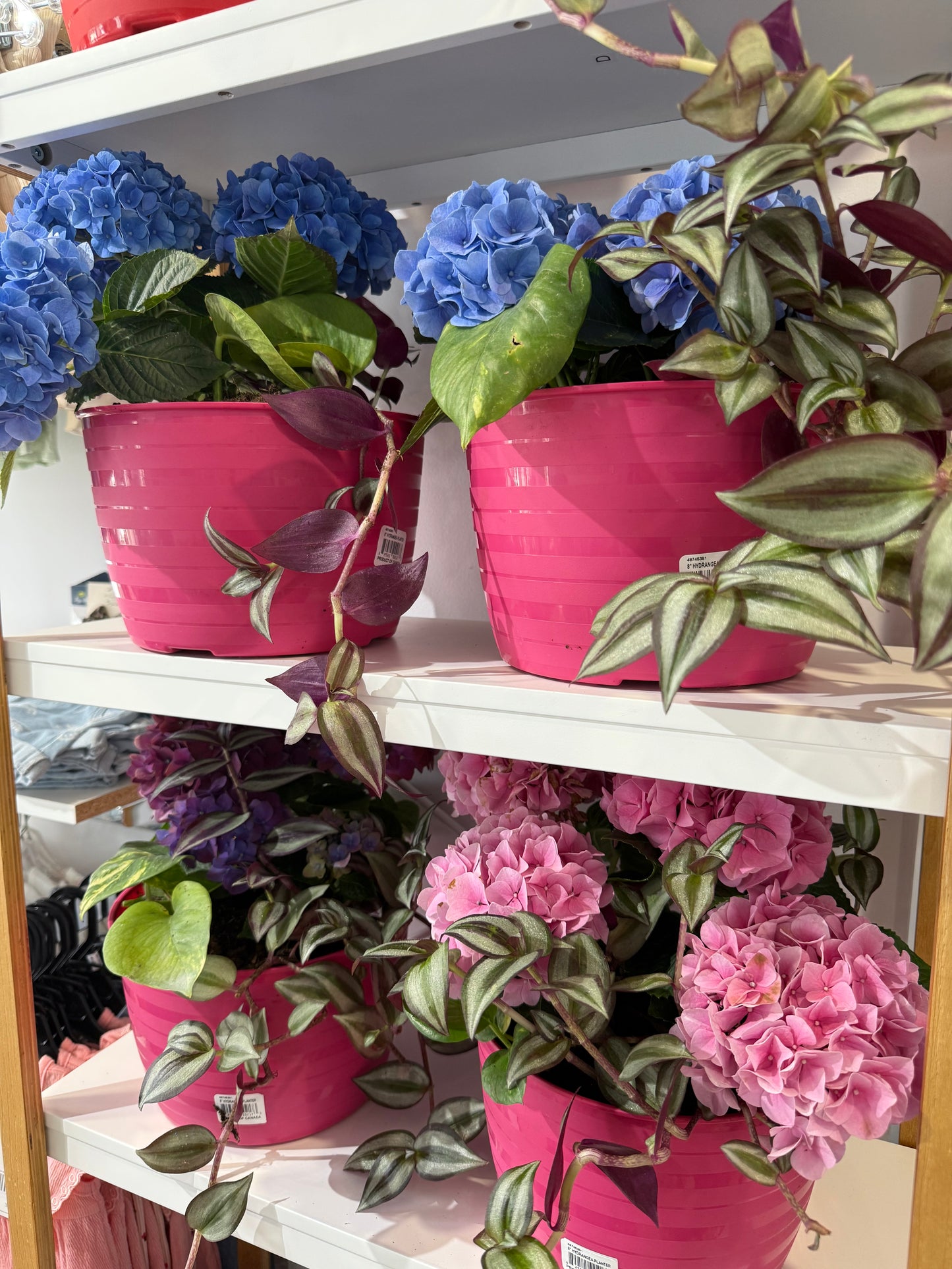 Mixed Planter