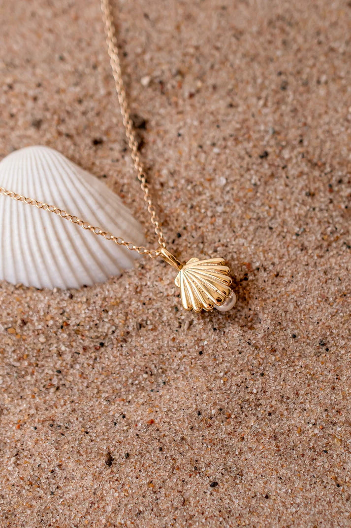 Shell Charm Necklace