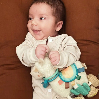 Llama Itzy Friends Link & Love™ Activity Plush