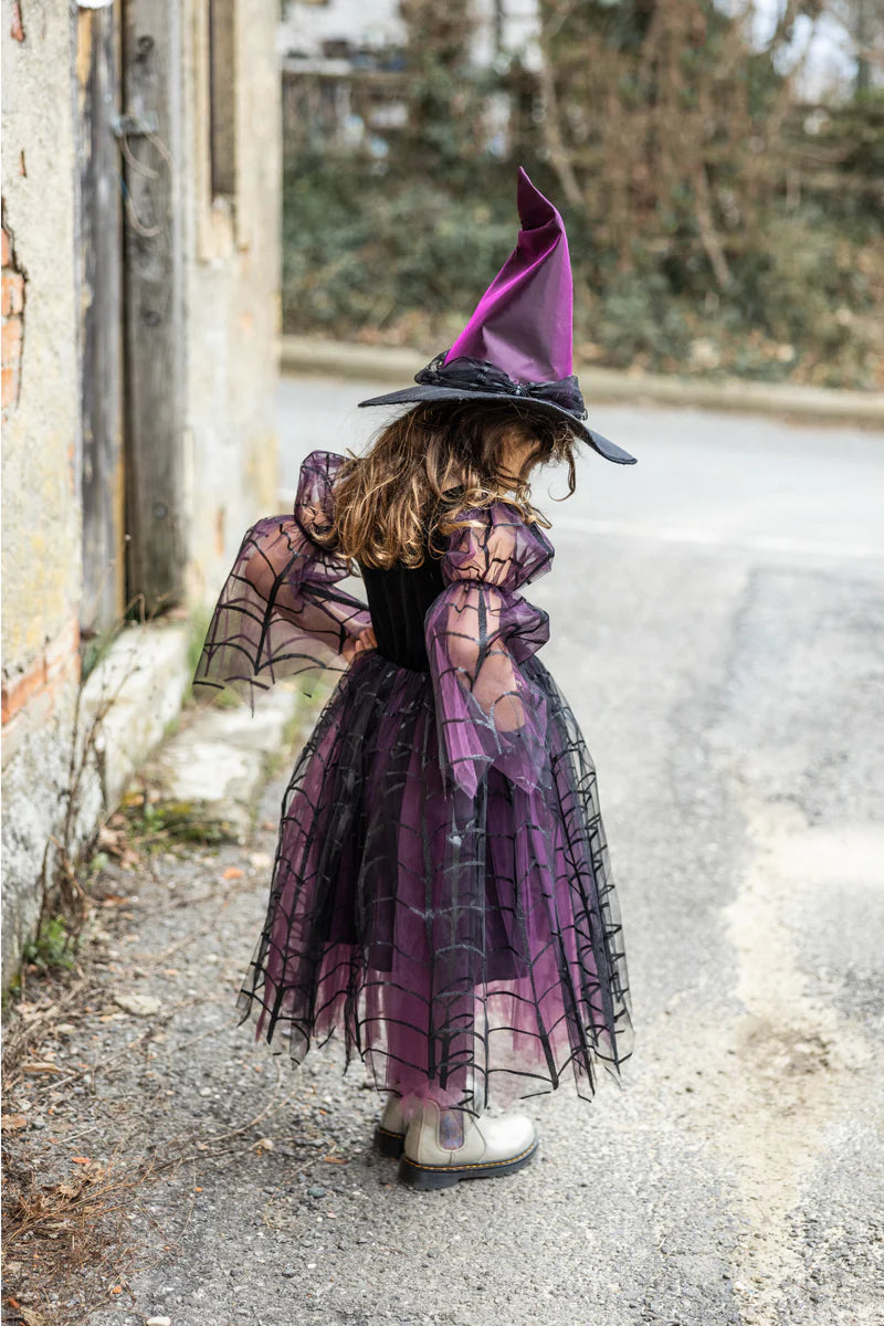 Amethyst the Spider Witch Dress with Hat (5-6)