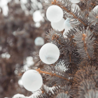 Crazy Ice Bubbles -