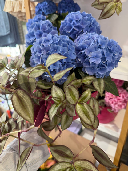 Mixed Planter