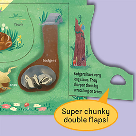 Peek-a-flap Who