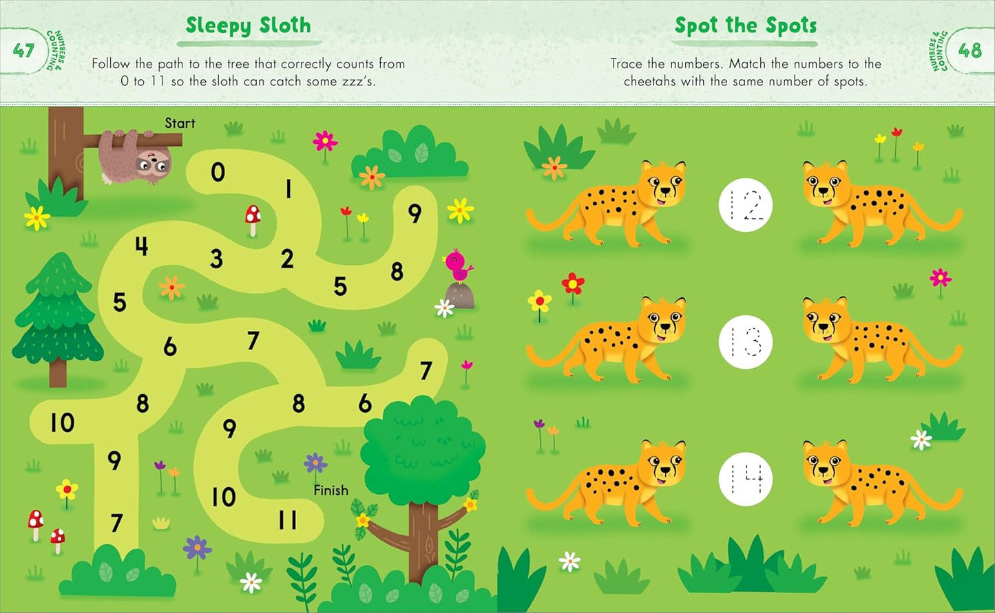 Kindergarten Activity Book: Zoo Animals